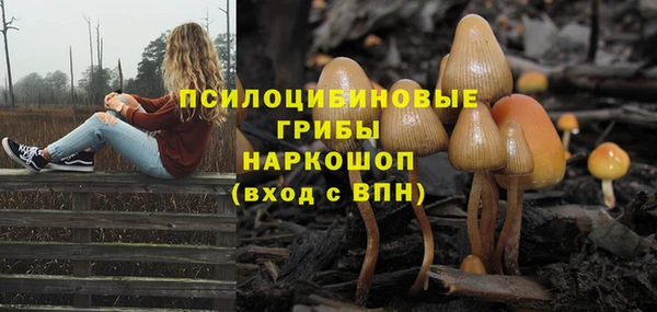 молекула духа Каменск-Шахтинский