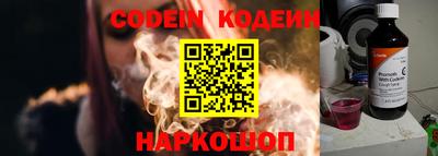a pvp Камышлов