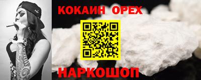 a pvp Камышлов