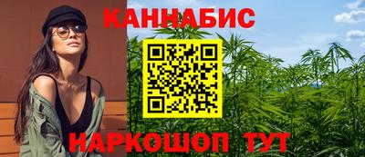 Альфа ПВП Кандалакша