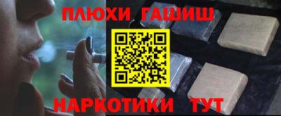 a pvp Камышлов