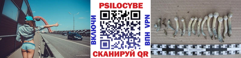 omg   Нефтекумск  Псилоцибиновые грибы GOLDEN TEACHER 
