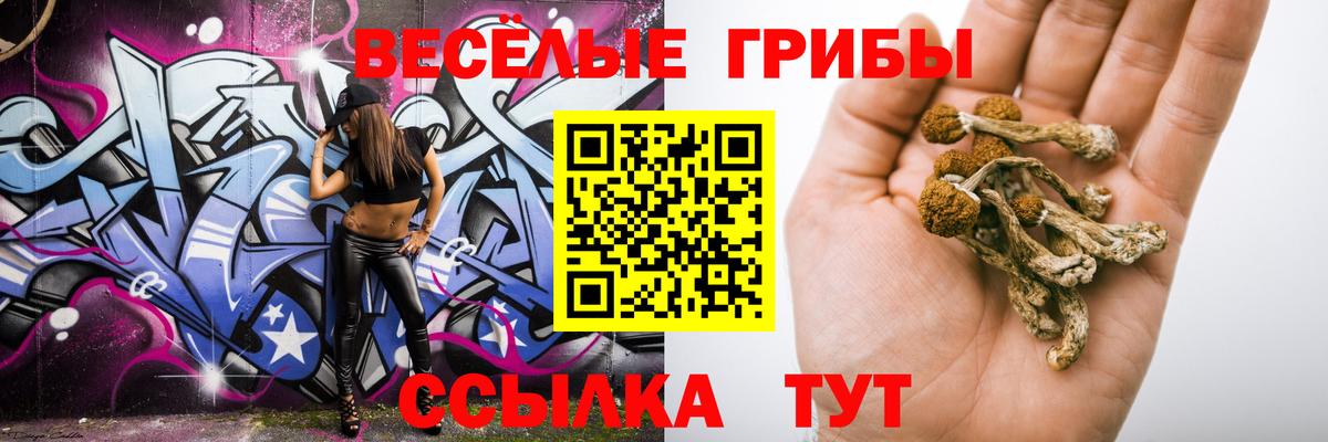 Нефтекумск  Псилоцибиновые грибы Psilocybe  Вход с VPN 