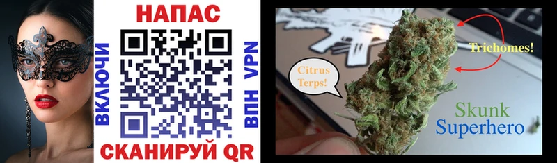 Бошки Шишки Bruce Banner Нефтекумск